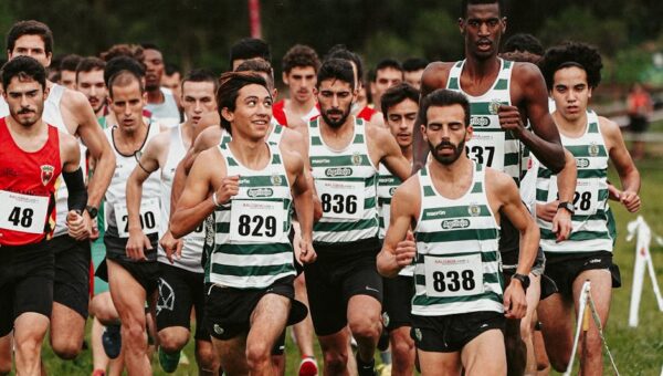 Why Diversity in Sports Matters More Than You Think