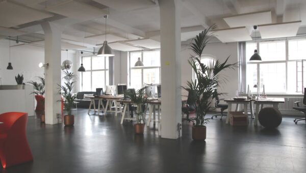 The Rise of Sports Co-Working Spaces: A Game-Changer for Athletes in 2026