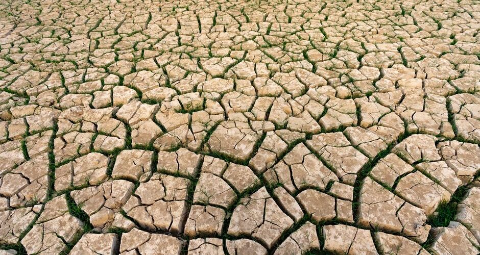 The Hidden Impact of Climate Change on 2026 Sports Seasons